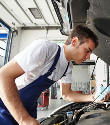 Automotive Division
